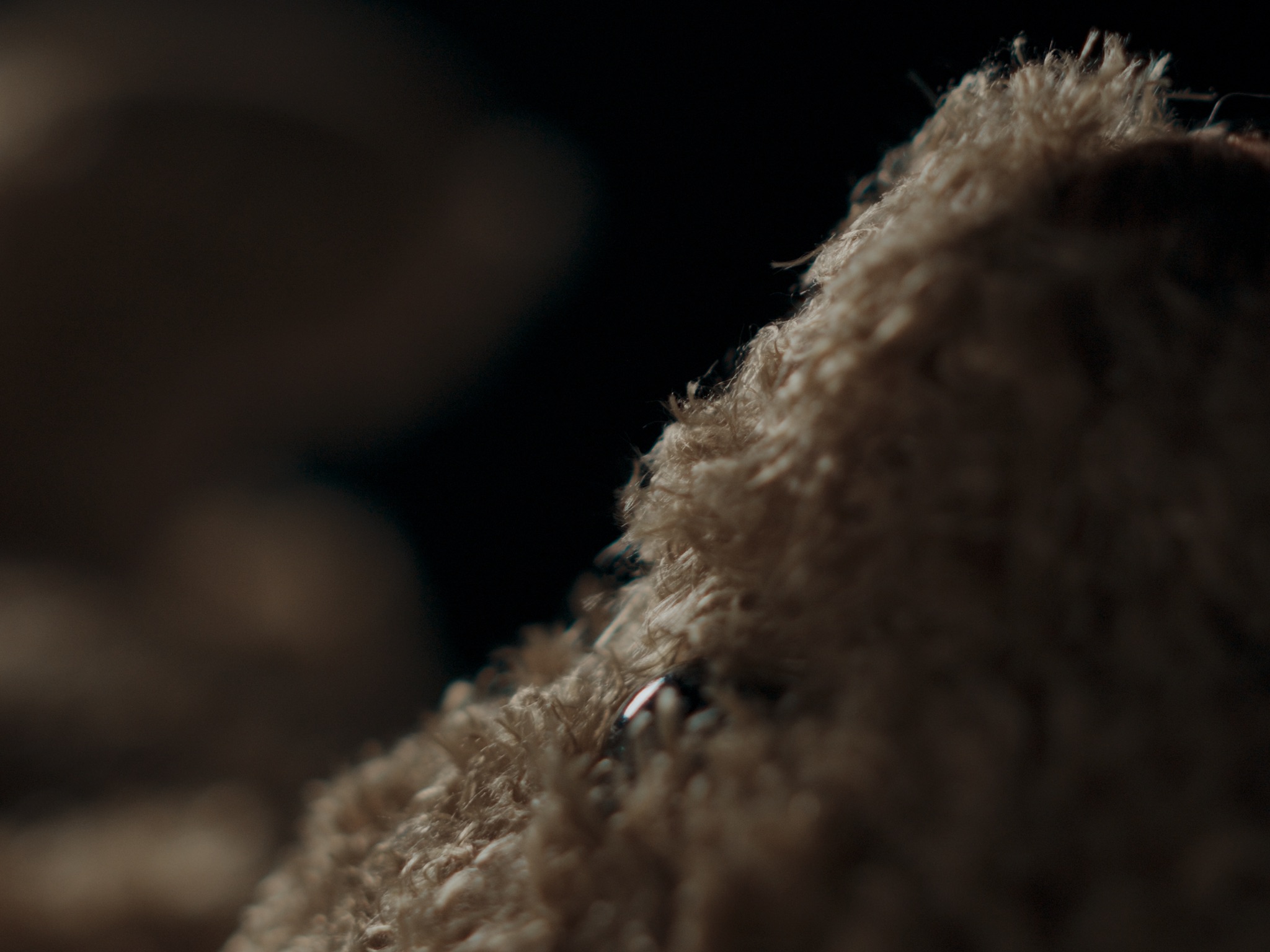 Close-up of a worn teddy bear in near darkness.